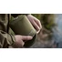 Kép 4/4 - Trakker NXG Insulated Gas Canister Cover szigetelt gázpalack borítás